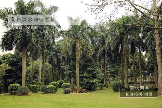浅谈仿真棕榈树—北京淡水河谷仿真树