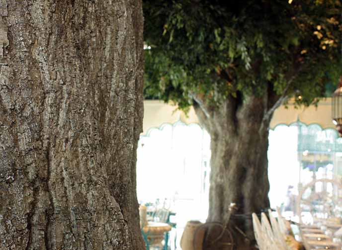 山西大同室内仿真树制作－北京淡水河谷仿真树厂家