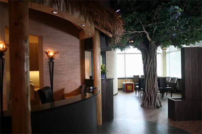 宁夏银川仿真榕树给室内环境增光添彩，宛若室外大森林