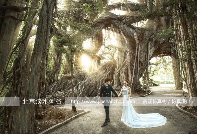 蒙娜丽莎室内绿色风情婚纱摄影仿真树设计-北京淡水河谷