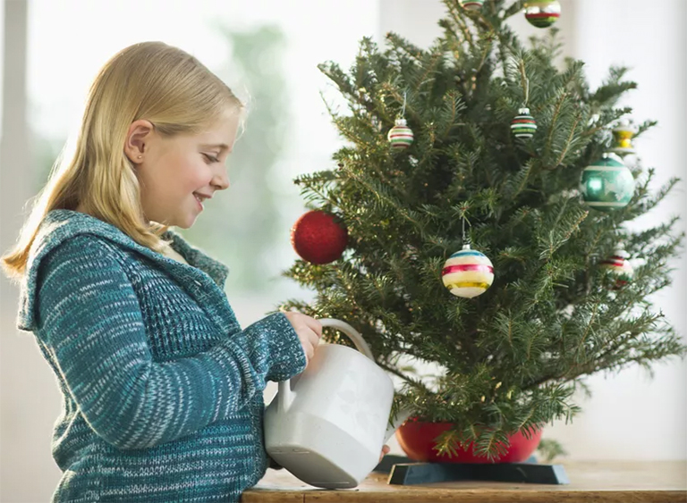 在冬季如何保养仿真圣诞树需要留意哪些方面