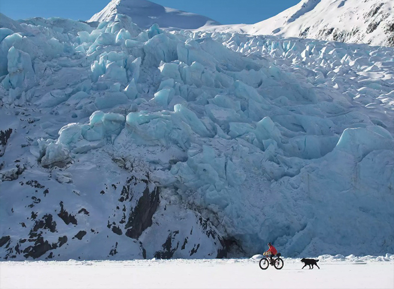 美国国家森林清单分享（一）