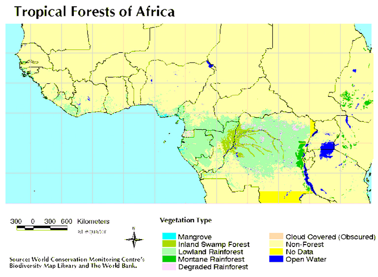直击非洲雨林的领土和现状有图有真相