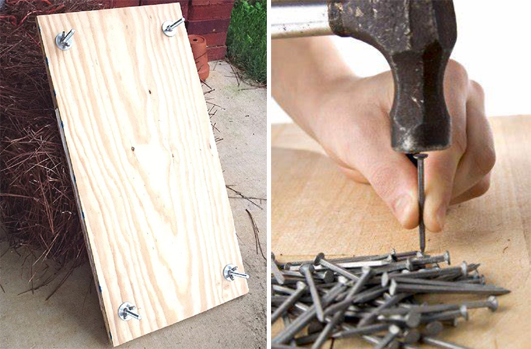 建立树叶和植物出版社-保留叶子以供研究和研究