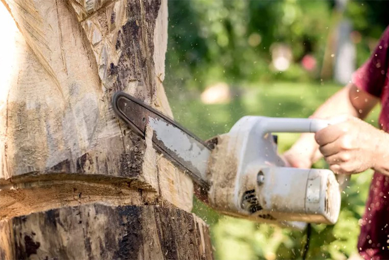 重要电锯安全信息和技能-为了在树林中安全地工作（一）