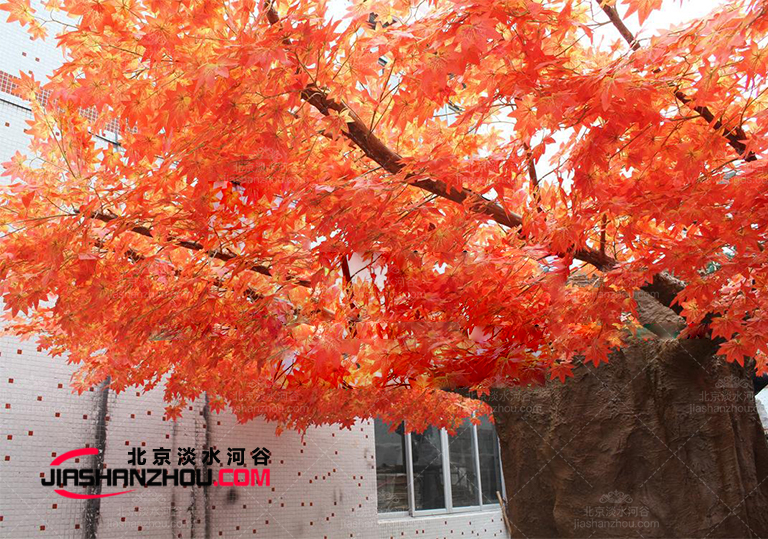 仿真树假枫树-露台或花园中功能全的树木之一