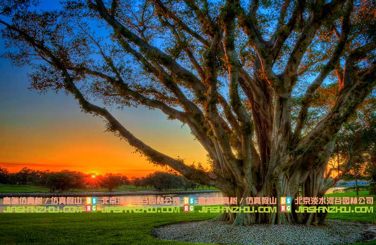 收集多的仿真假树图片才能做好工程