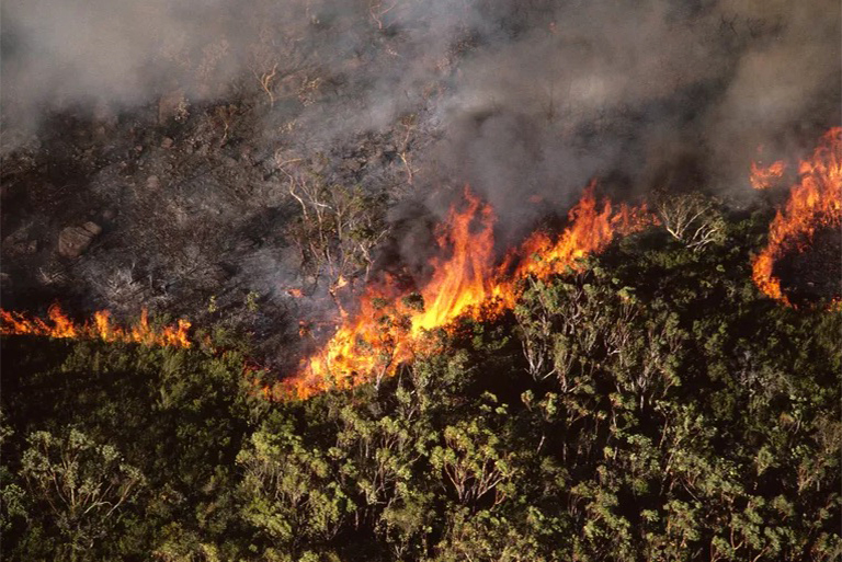 野火何时何地发生-许多山火由雷击引起多则是人类活动引起的