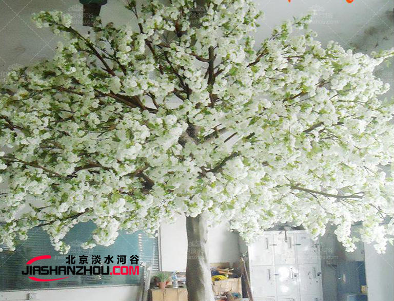 这个仿真树流苏树厂家制作世界名观赏性仿真树国内外皆有施工