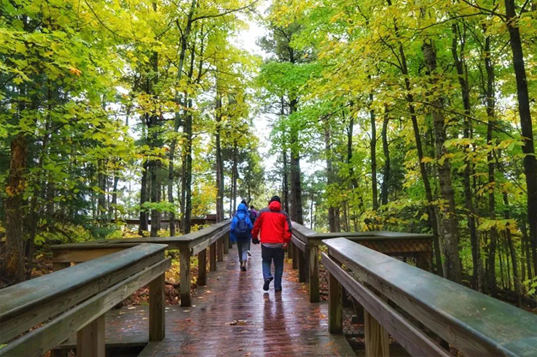 您可以定义高潮森林吗