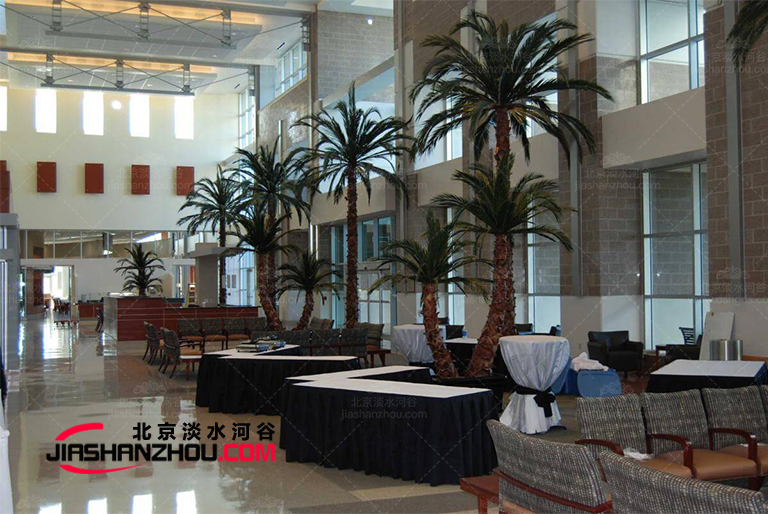 高质量持久保存仿真树棕榈树我们开放参观