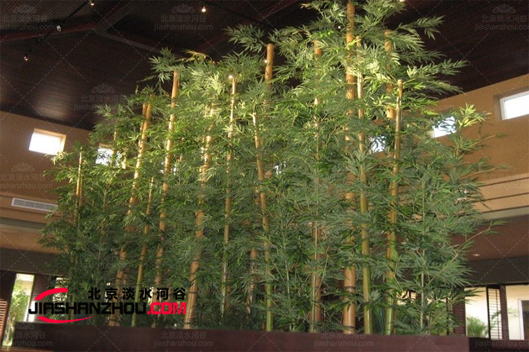 仿真树不是随便陈设的它合适布置在什么地方