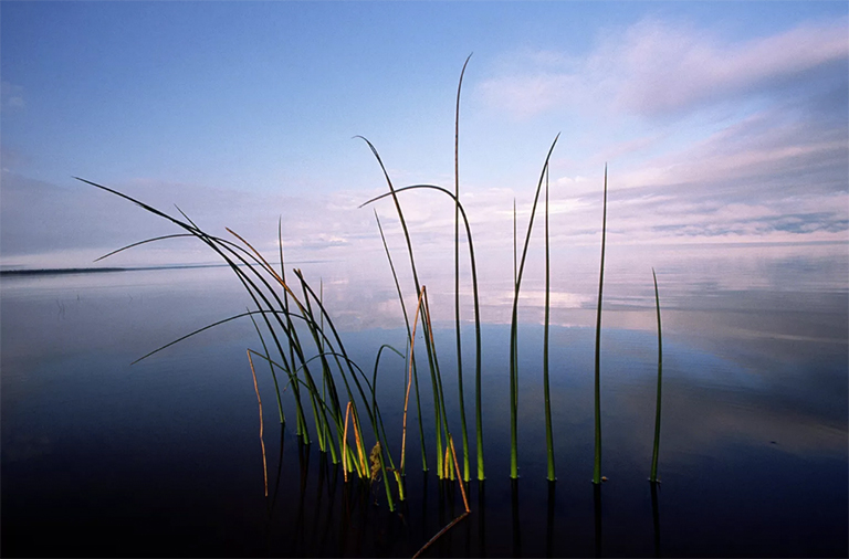 美国大的25个湖泊-按面积计算（四）