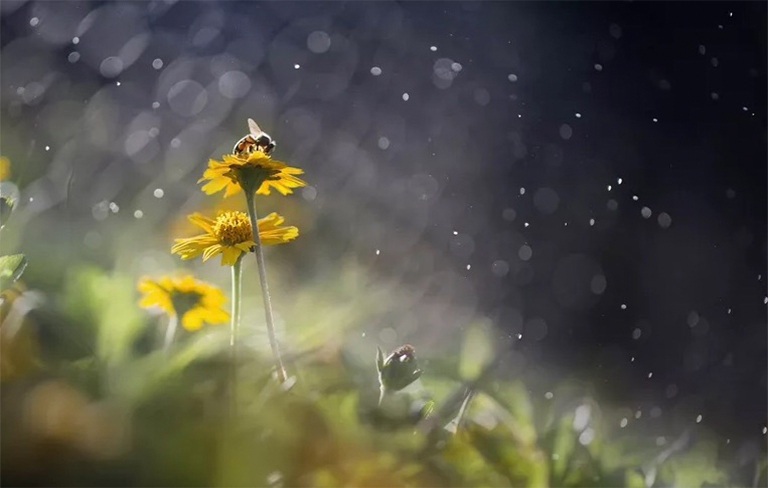 生态位在生态生物学中意味着什么