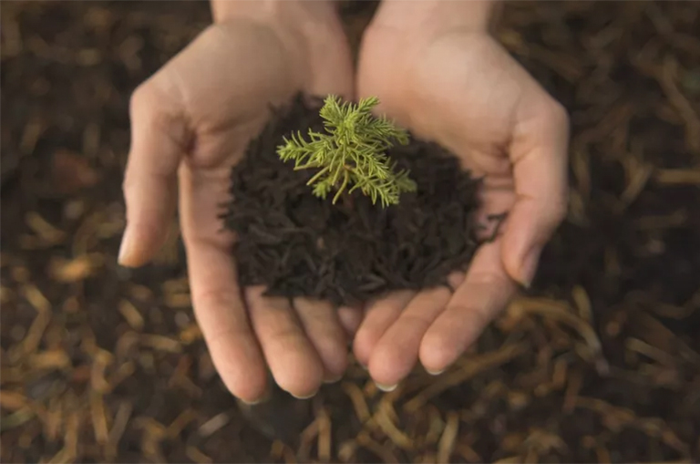 如何庆祝世界地球日-地球日活动的想法