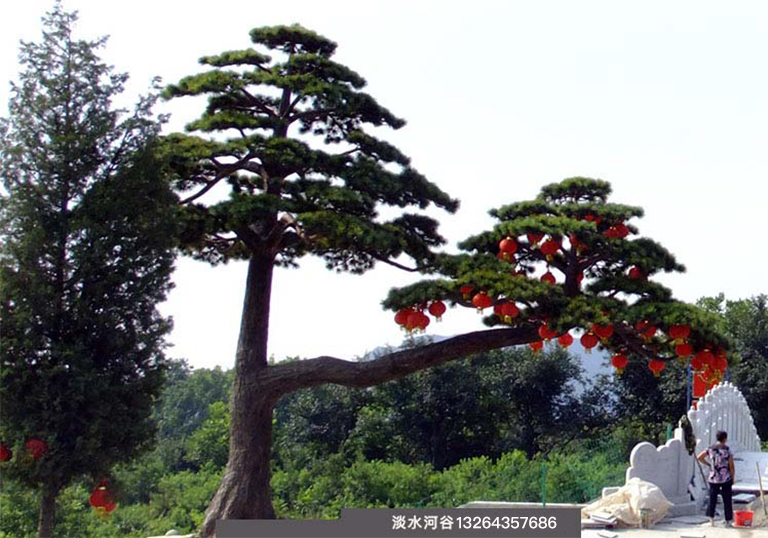 现场制作仿真松树，工艺精美效果逼真—北京圣园工程