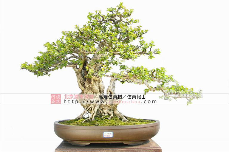 关于盆景的基础知识 仿真树厂家有话要说