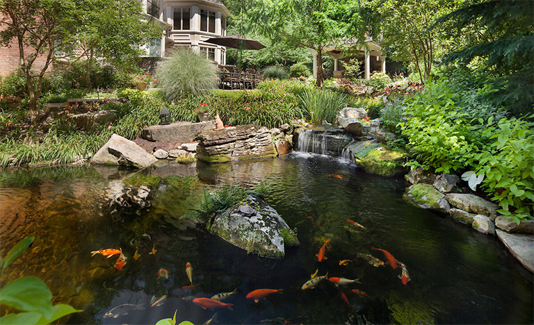 如何防止多年生植物侵害您的花园