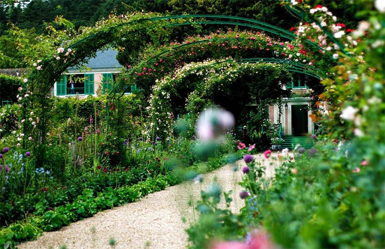 专为蝴蝶和蜜蜂设计的景观