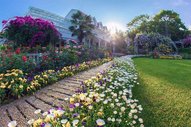 强调夏季一年生花卉和叶子植物