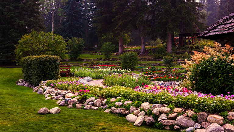 园艺护理-北弗吉尼亚州常见的园林植物b害