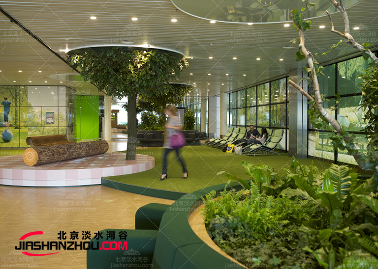 天津西青公园里盛行耀眼的f 景-仿真树设计