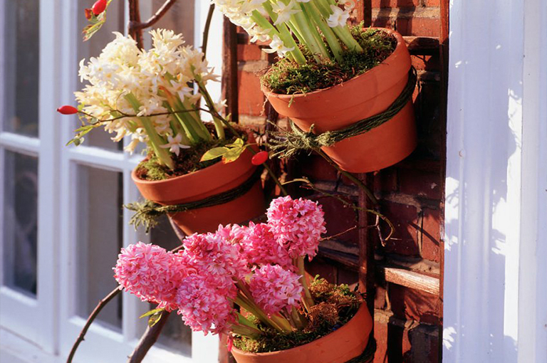 北京厂家关于植物花园栅栏／围栏的设计构想（中）