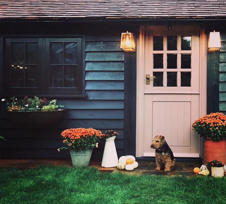 看看令人惊叹的植物花园工作室改造前后对比图（下）