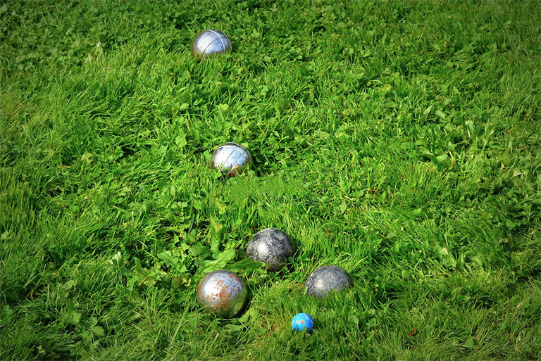 夏天在植物花园可以玩的 3 个游戏