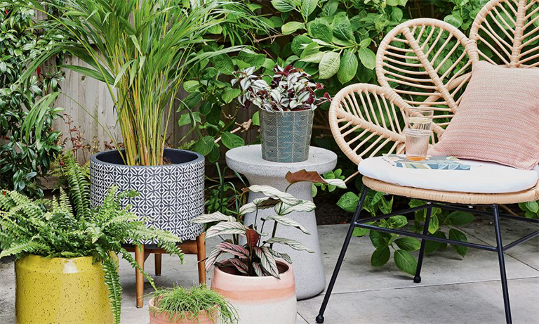 11个植物花园项目—从种植到绘画让植物花园重获新生（上）