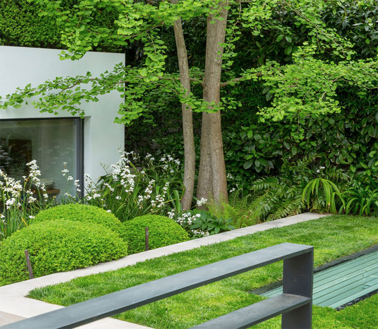 10种耐污染植物以及如何照顾它们（下）