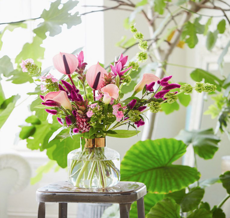 如何在夏季的热浪中保持植物和鲜花新鲜