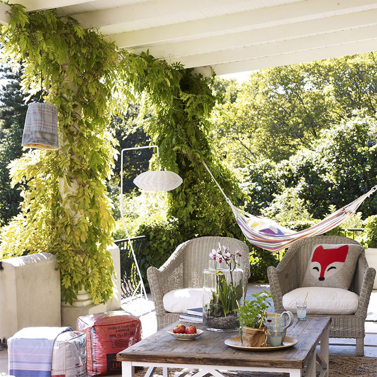 热门夏季植物花园娱乐活动趋势（上）