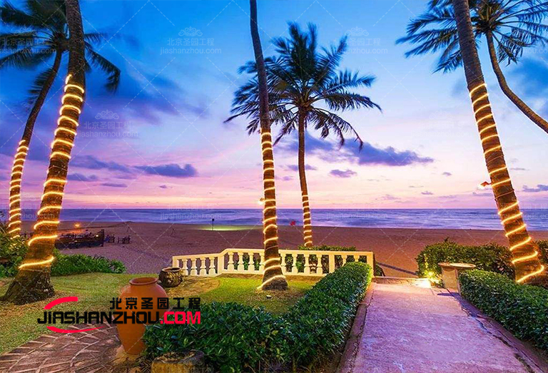 了解如何为您的空间添加多波西米亚f 仿真树装饰元素