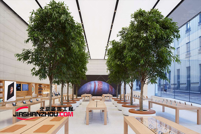 明亮的绿色仿真树排列成一个简单但诱人的组合