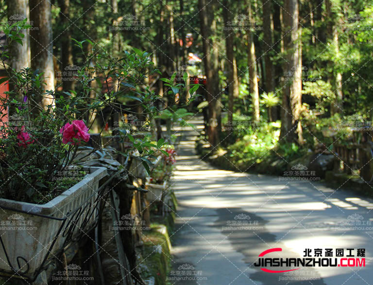 仿真树的可塑性赋予园林造景的能力