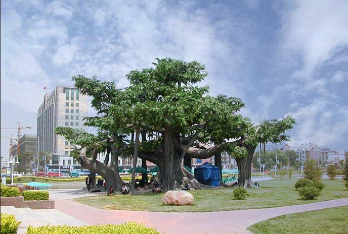 北京厂家的仿真树质量有保证，值得信赖