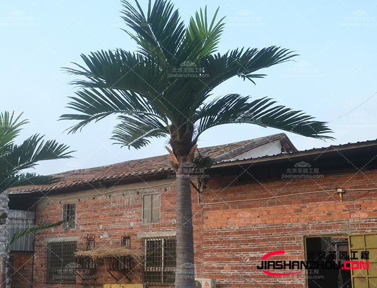 相信仿真树将会越来越逼真和真实成为装饰行业的热门选择