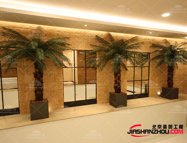 大家是否知道仿真树的起源呢，是什么时候出现的呢