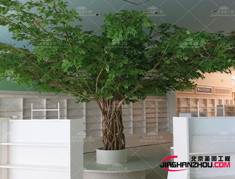 仿真树他们需要从真实的植物中获取灵感和素材并通过技术