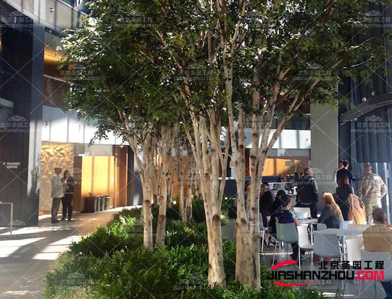 仿真树在许多文化中都有特殊的象征意义我们可以利用这些文化