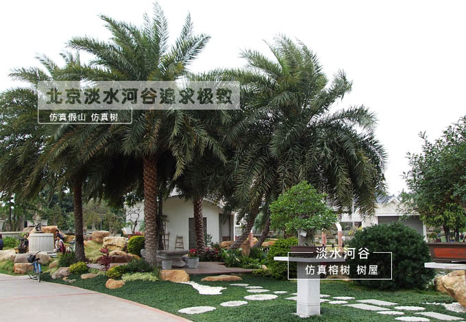 10米大王椰子树价格 厦门仿真树厂家