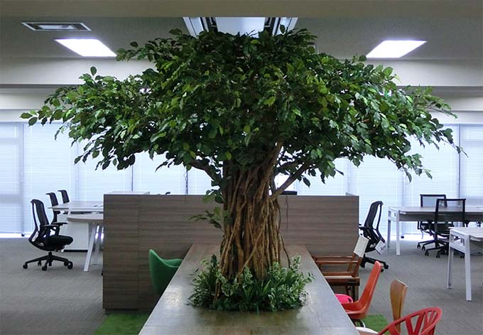 室内仿真树.jpg 室内仿真树