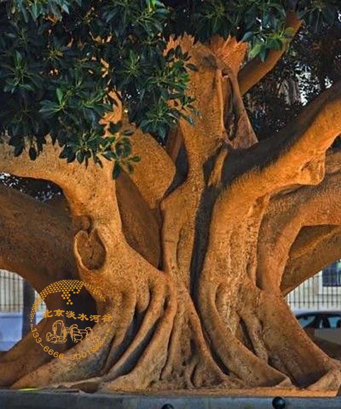 仿真榕树.jpg 仿真榕树