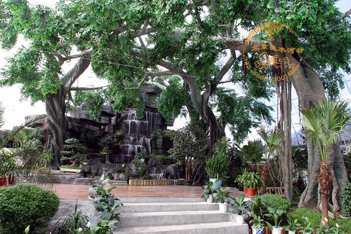 仿真榕树.jpg 仿真榕树