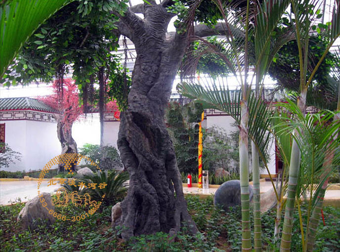 仿真榕树.jpg 仿真榕树