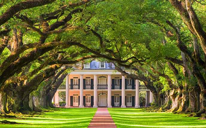 仿真榕树.jpg 仿真榕树