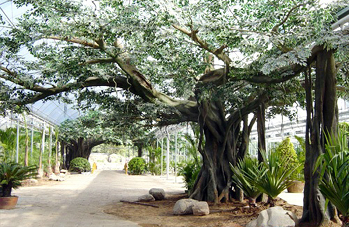 仿真榕树制作.jpg 仿真榕树制作