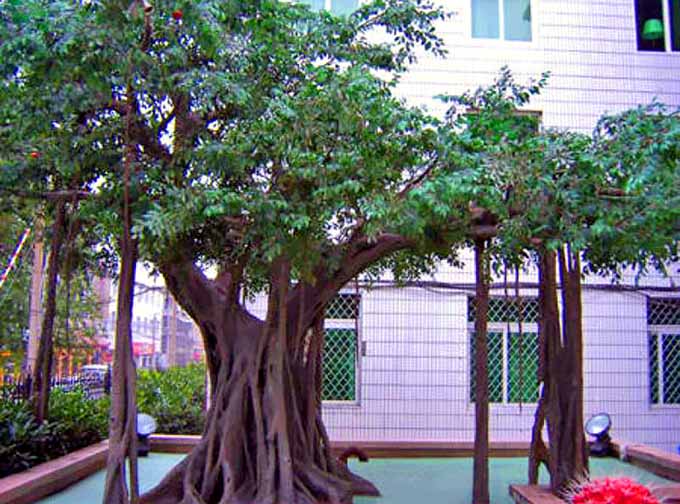 仿真榕树.jpg 仿真榕树