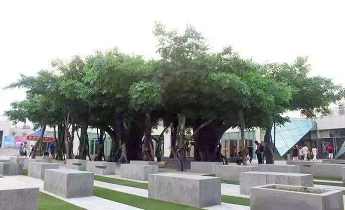 仿真榕树.jpg 仿真榕树